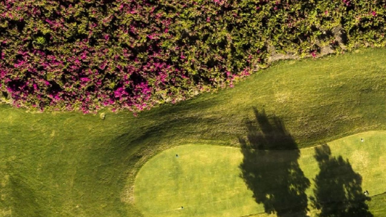 Por dentro da Fazenda Boa Vista: o condomínio fortaleza com 4 mil funcionários e heliponto VIP. Entenda por que este refúgio de luxo em SP atrai a elite do Brasil.