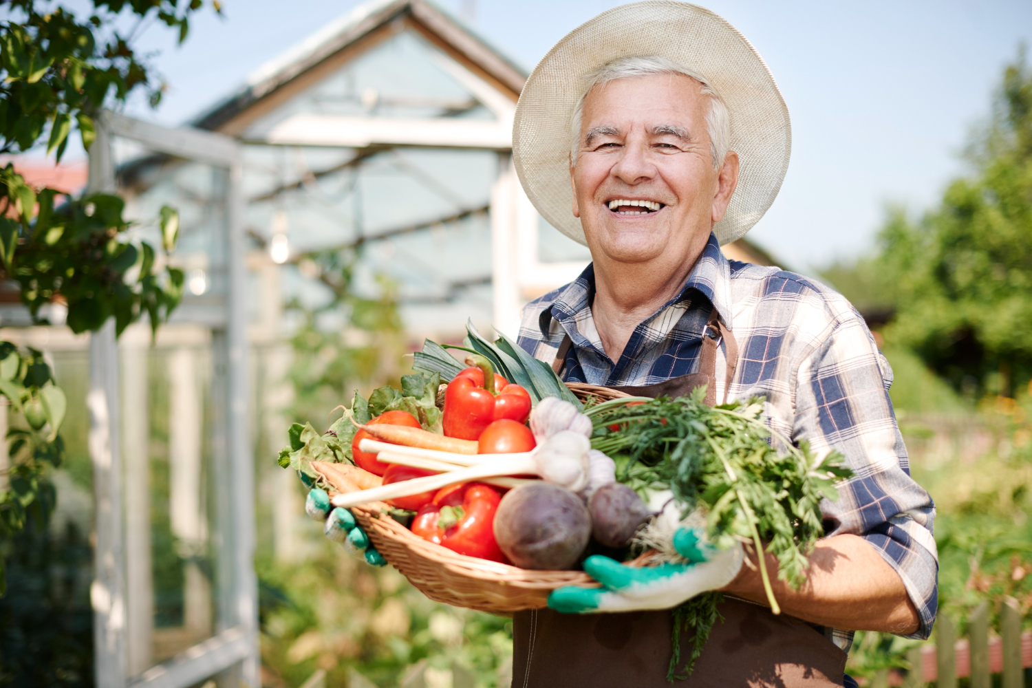 A agricultura familiar no Rio Grande do Norte tem se destacado como força motriz do desenvolvimento rural sustentável, especialmente com o apoio da Companhia Nacional de Abastecimento (Conab)
