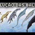 As baleias, antigas mamíferos terrestres, revelam na evolução e nos fósseis a incrível adaptação que as levou a dominar o oceano.