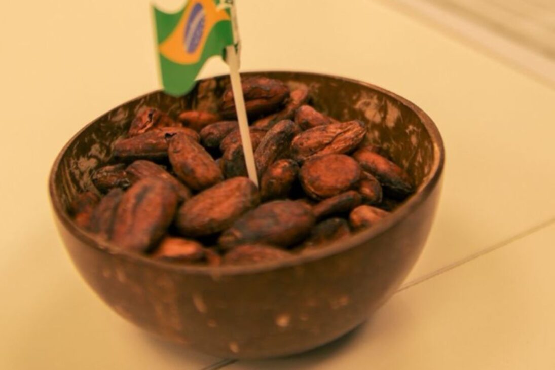O evento nasceu do interesse crescente do mercado argentino pelo cacau produzido no Brasil, especialmente pelo modelo sustentável e pela qualidade reconhecida internacionalmente.