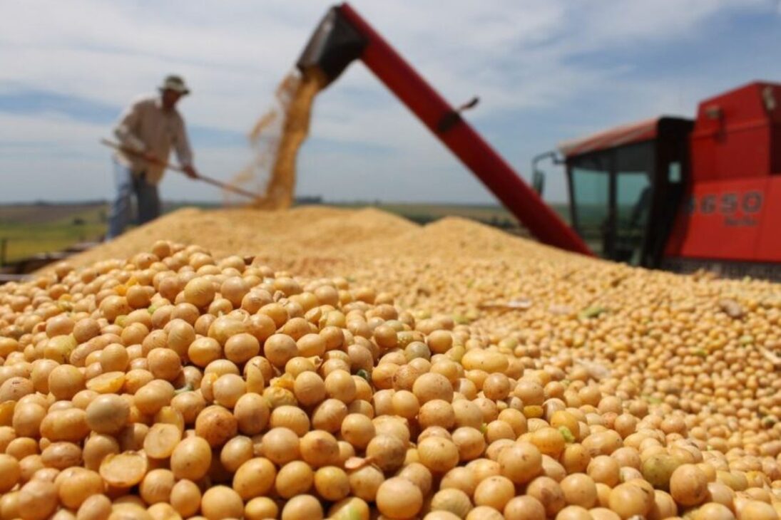 Do café que construiu São Paulo à soja que domina o mundo: como o Brasil virou potência agrícola de trilhões em exportações
