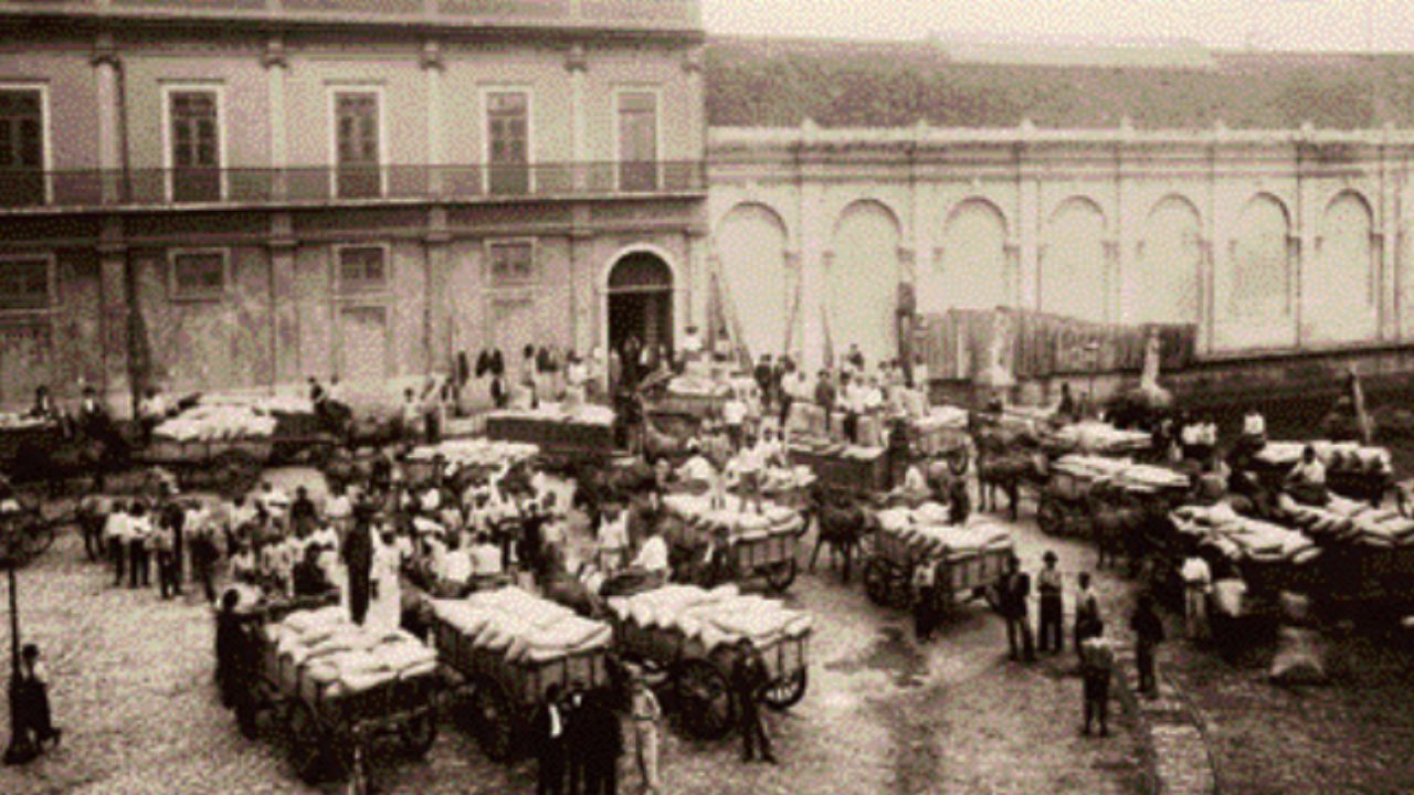 Chegada do café no porto, Santos
(SP), c. 1890. Reprodução: Portal Iphan