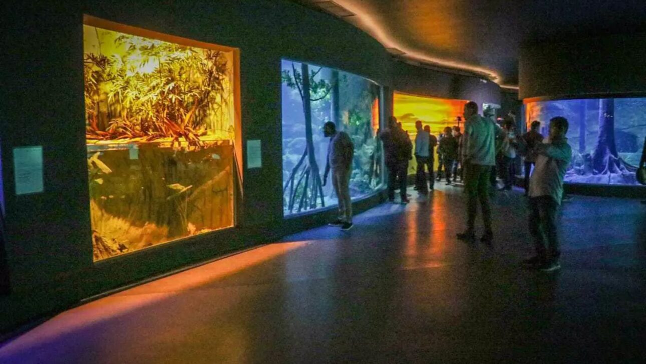 Bioparque Pantanal, em Campo Grande (MS), é o maior aquário de água doce do mundo e une ciência, turismo e sustentabilidade.