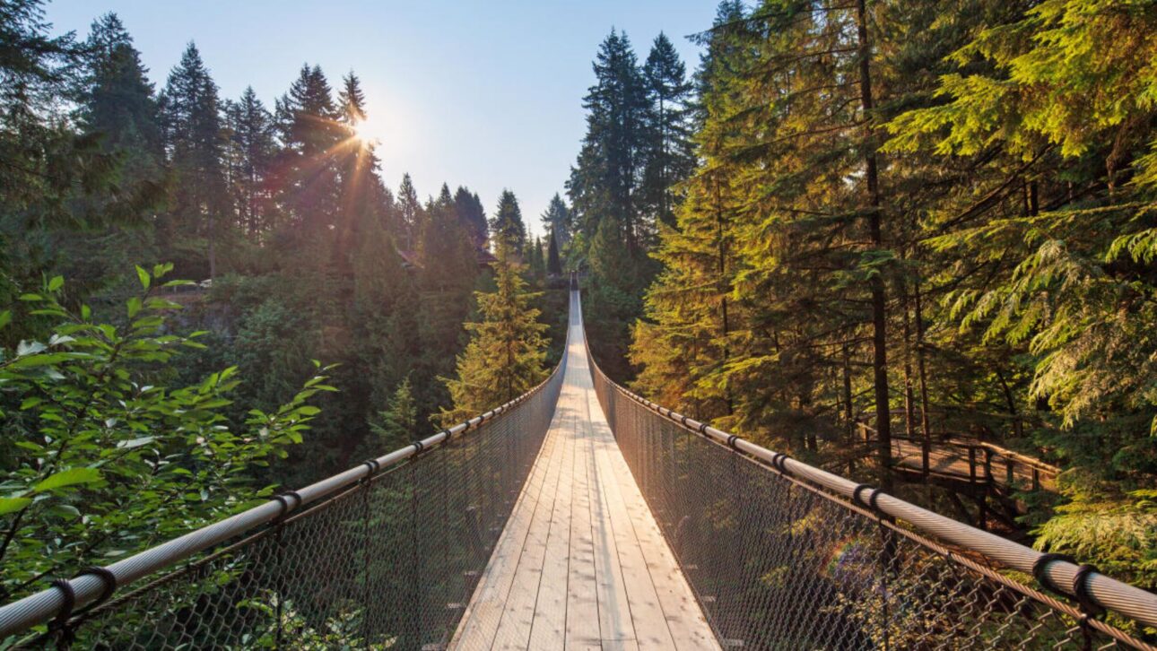 Enquadramento frontal da ponte com foco no tablado e vegetação — “Perspectiva frontal da ponte suspensa Capilano entre árvores verdes” (Imagem: Destination Vancouver)