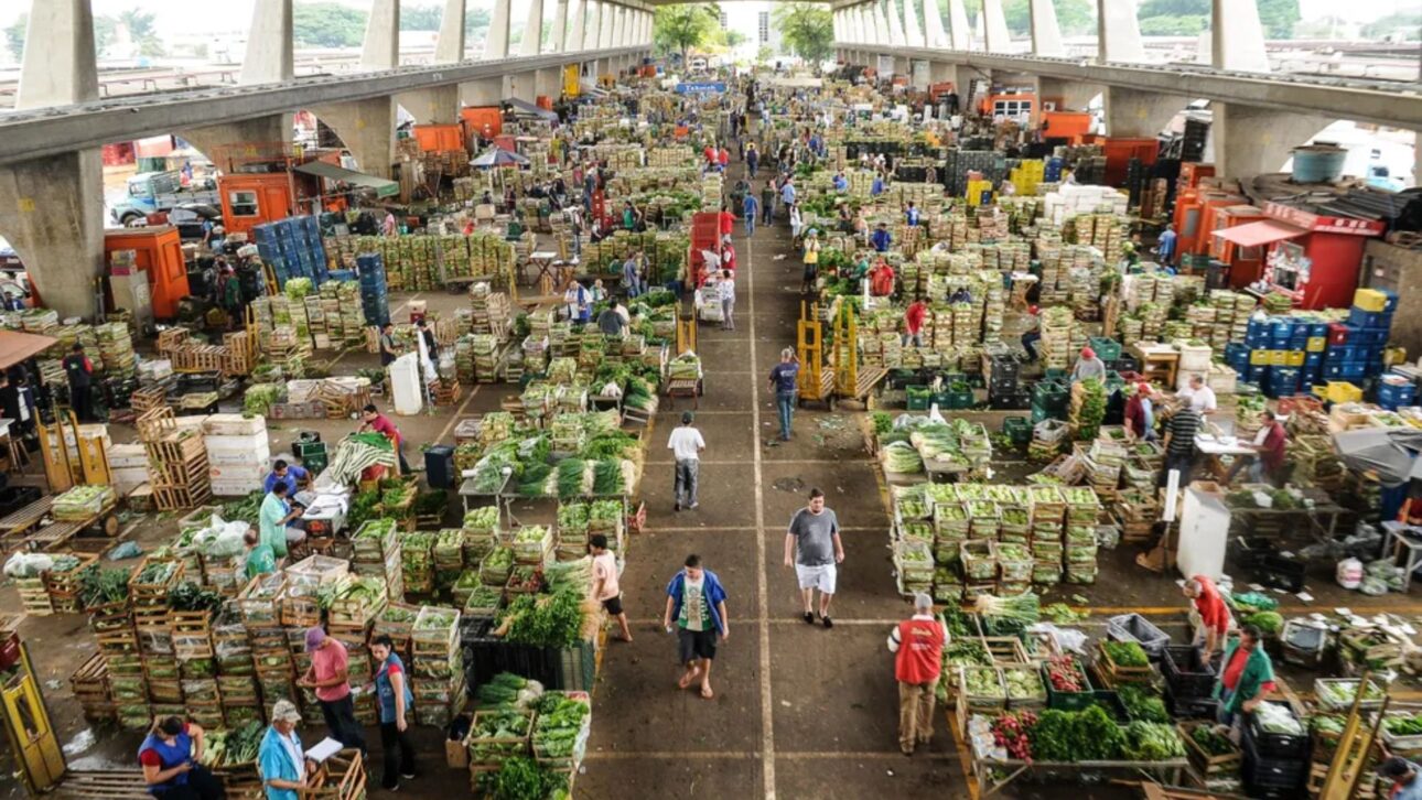 Conheça a CEAGESP, gigante do abastecimento em São Paulo que movimenta 3 milhões de toneladas de alimentos por ano e define o preço da comida.