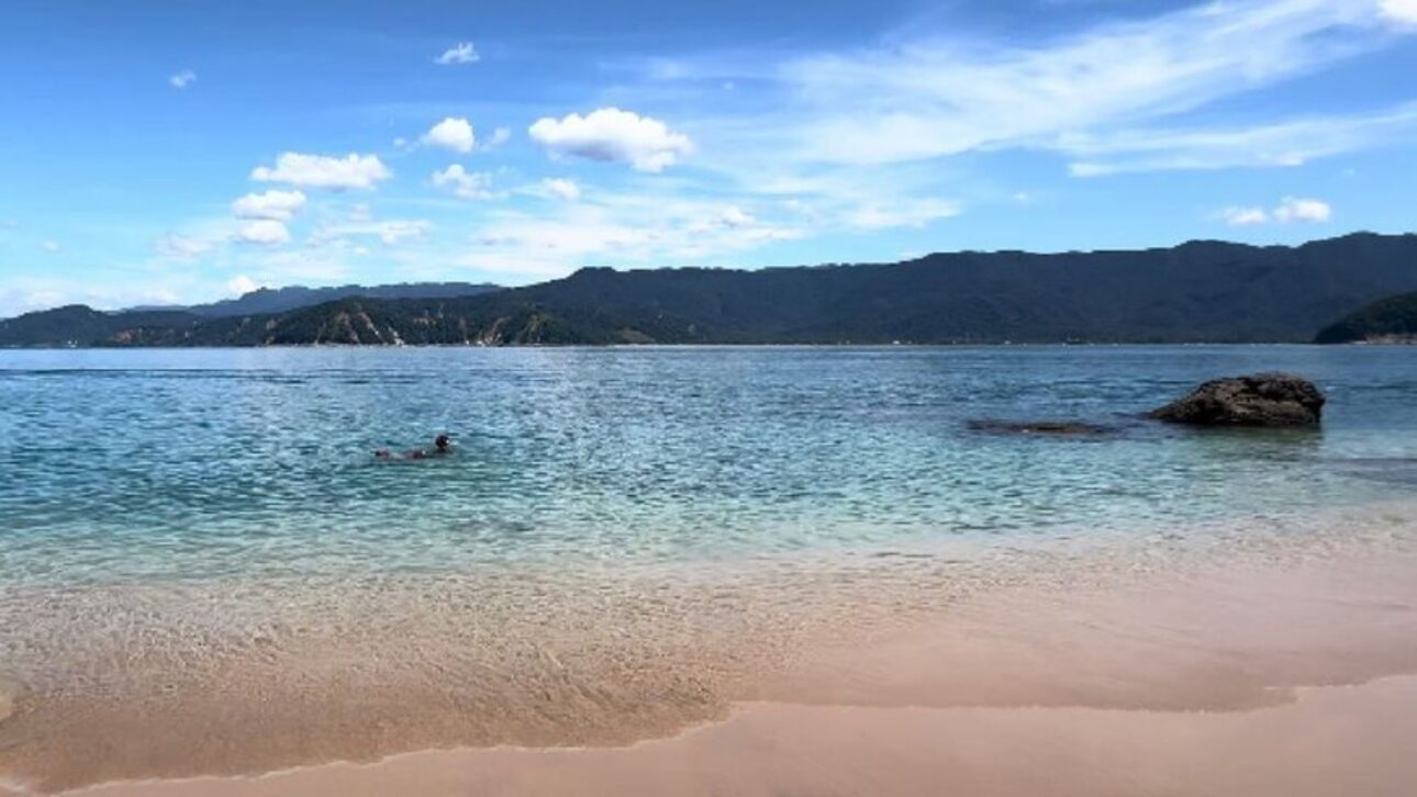 Descubra a Ilha dos Gatos em São Sebastião, com mar transparente, ruínas misteriosas e praias calmas que encantam turistas.