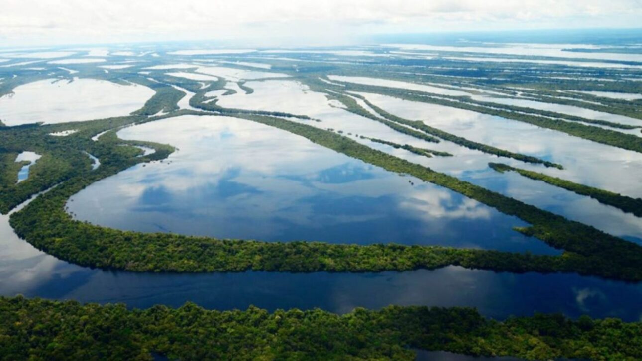 O Arquipélago de Mariuá, no Rio Negro, Amazonas, é o maior arquipélago fluvial do mundo e abriga rica biodiversidade amazônica.