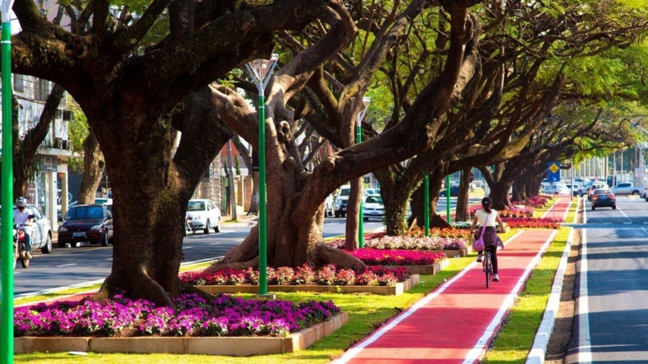Cidade de Maringá exibe avenidas largas e arborizadas, refletindo urbanismo e limpeza urbana eficientes. (Imagem: Divulgação PMM)