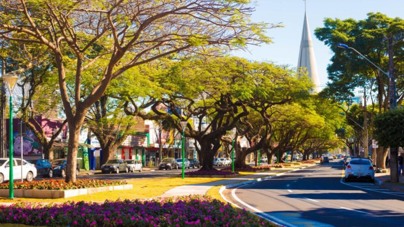 Cidade de Maringá exibe avenidas largas e arborizadas, refletindo urbanismo e limpeza urbana eficientes. (Imagem: Divulgação PMM)