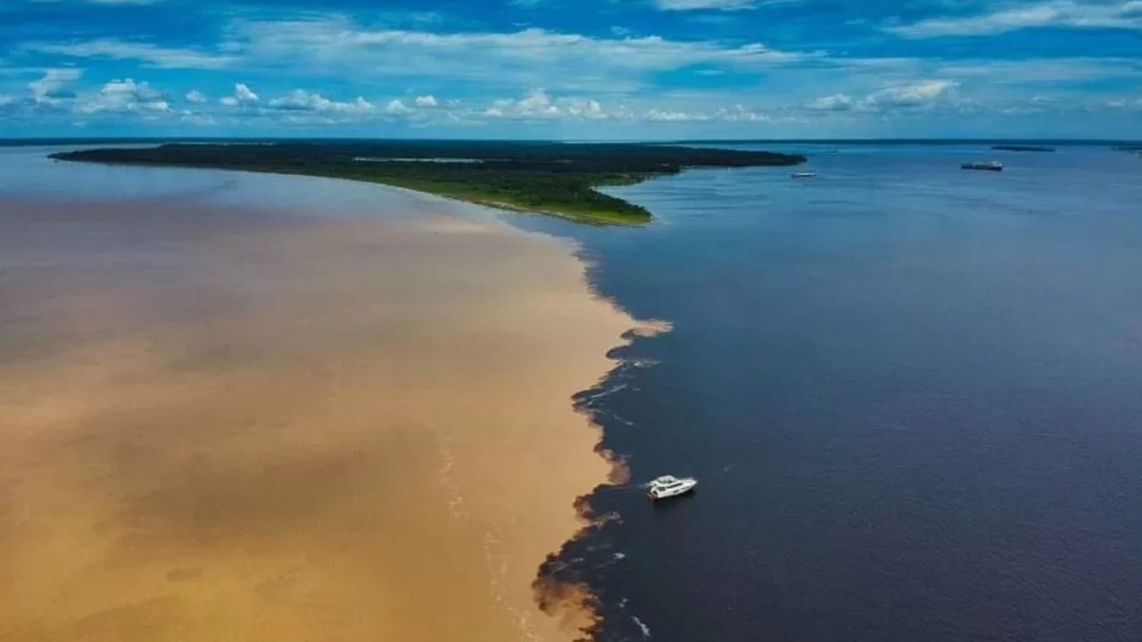 Imagem: Sou Amazônia