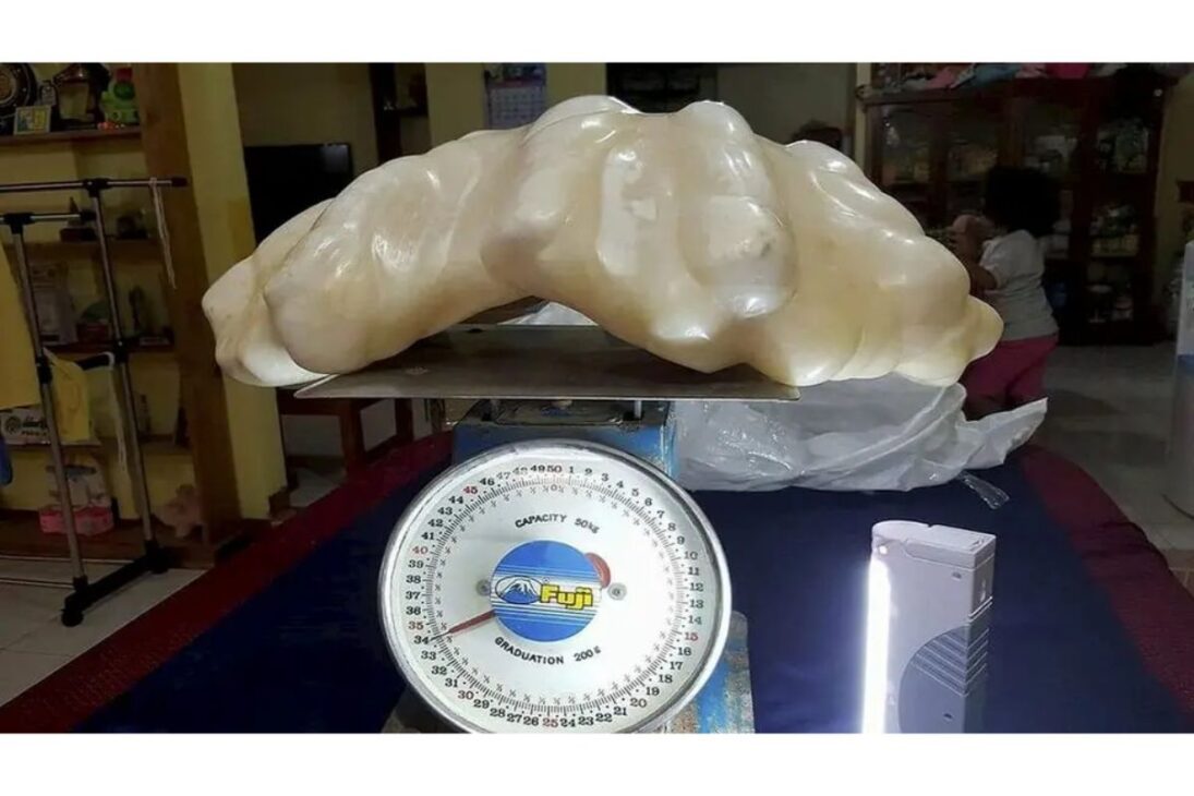 Pescador filipino guardou por 10 anos debaixo da cama uma pérola de 34 kg que vale mais de R$ 500 milhões