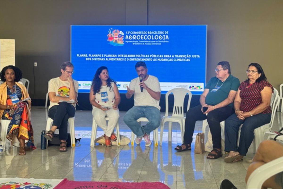 A consolidação do Planapo 2025 (Plano Nacional de Agroecologia e Produção Orgânica) marca um avanço decisivo na coordenação das políticas públicas brasileiras voltadas à agroecologia, segurança alimentar e abastecimento sustentável