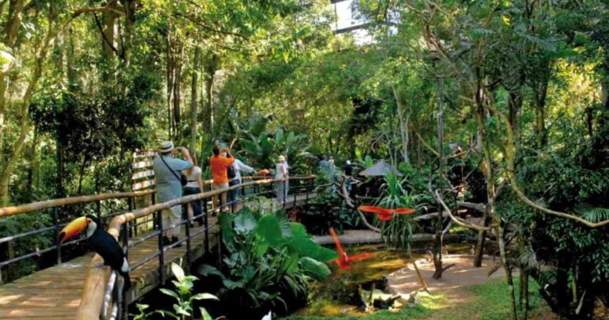 Único hotel brasileiro na lista da Forbes, o Hotel das Cataratas encanta com luxo, natureza, arco-íris lunar e experiências exclusivas. (Imagem: Divulgação)