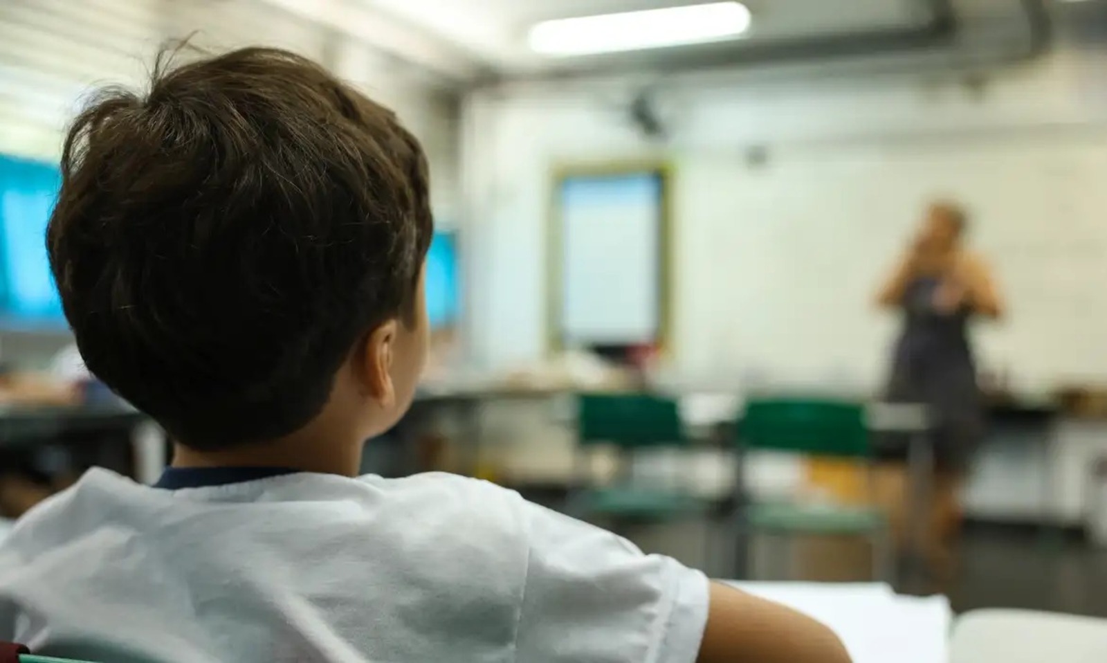 Escolas, Gênero, Lei, STF
