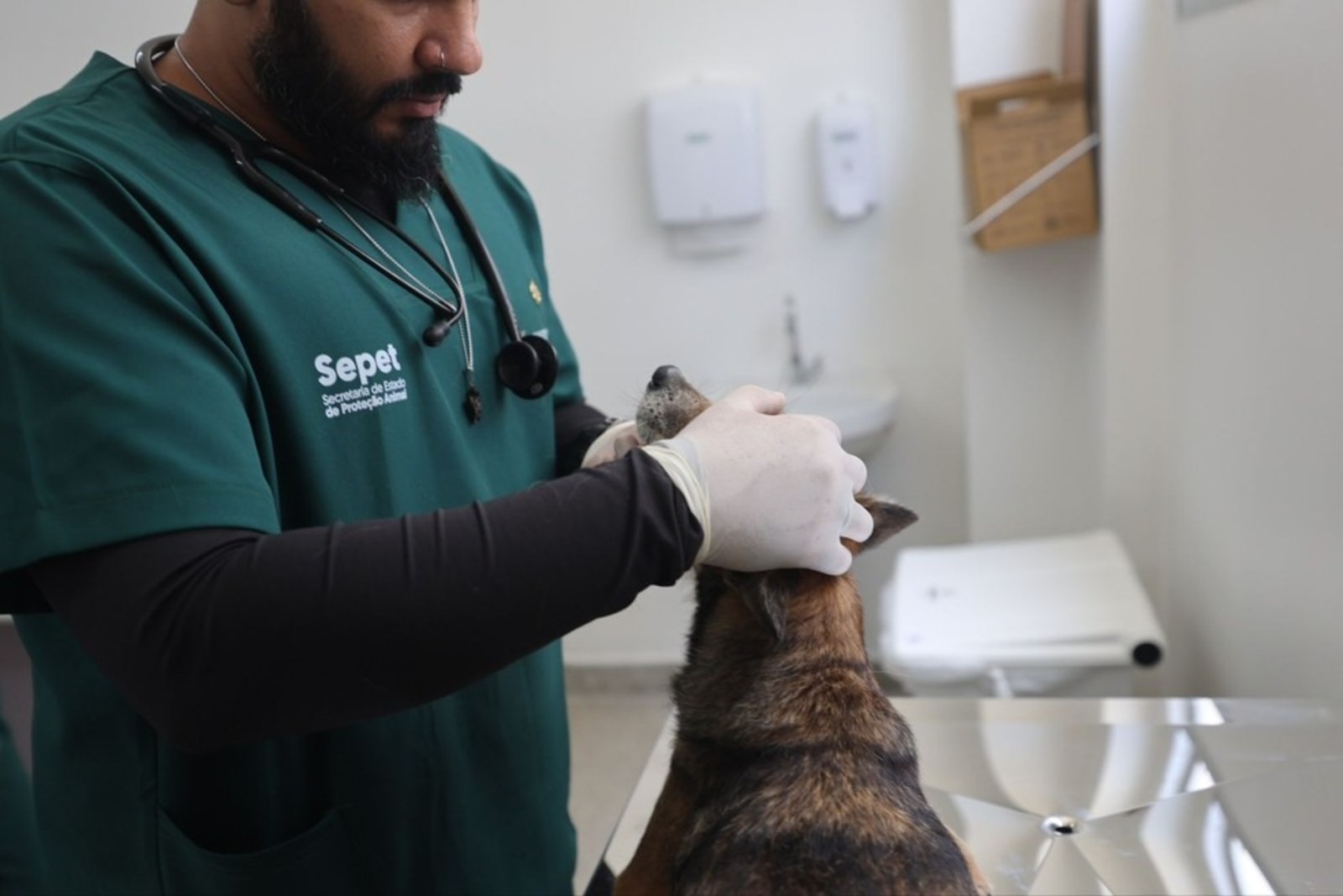 Hospital veterinário, Manaus, Maior hospital veterinário