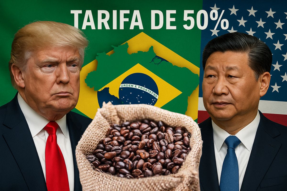 Tarifa de 50% de Trump trava café do Brasil nos EUA, encarece xícara em 40% e faz importadores desviarem grãos para o Canadá