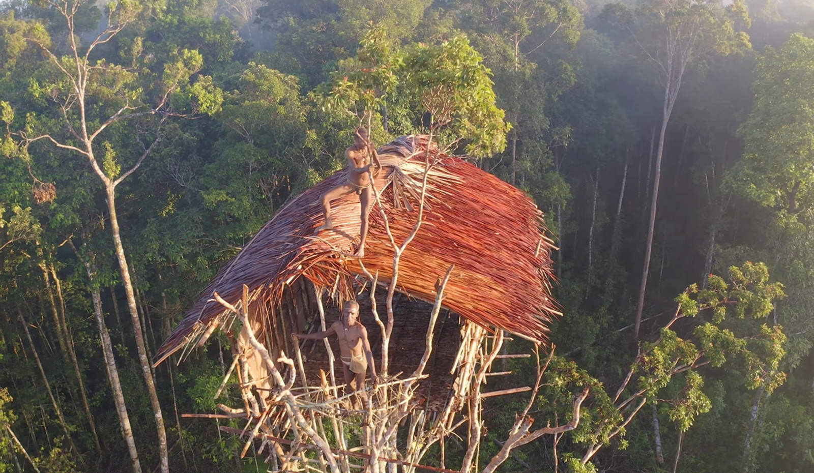 Tribo, Floresta, Korowai