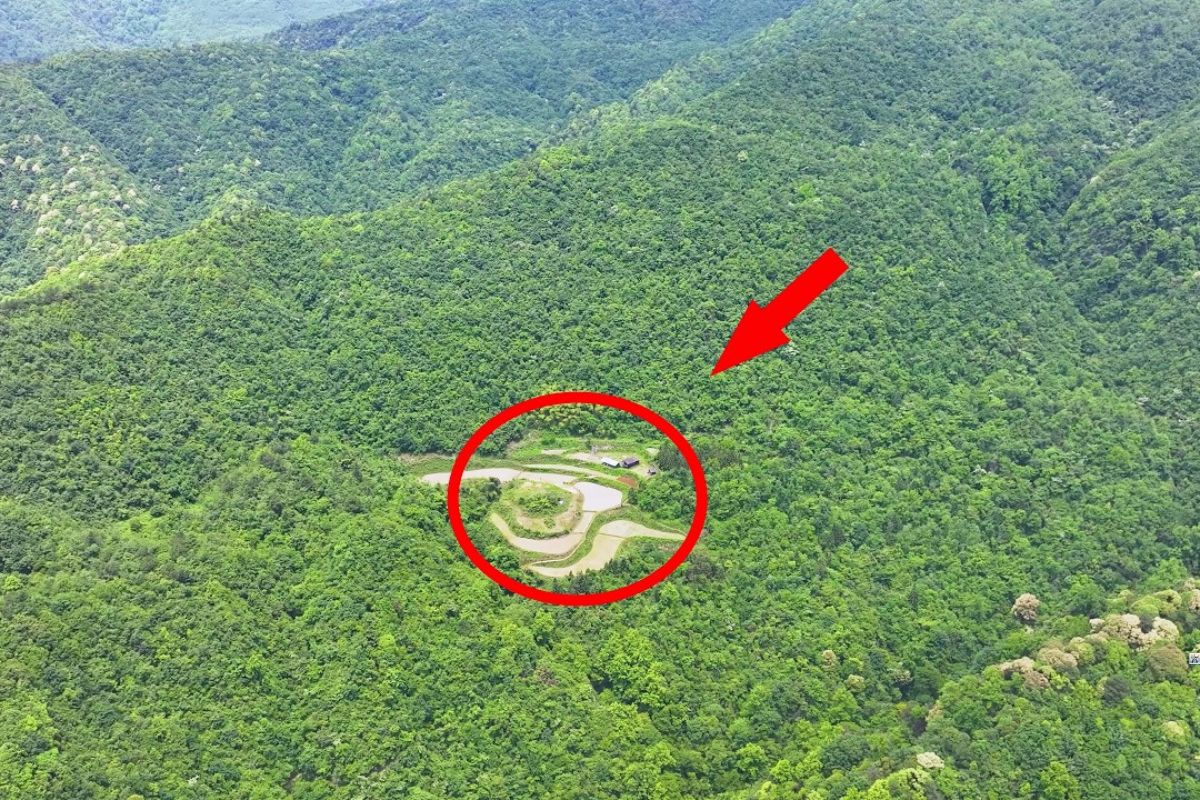 Em Guizhou, uma família isolada vive há quatro gerações em plena floresta de montanha, mantendo um modo de vida autossuficiente baseado em agricultura, energia solar e água de nascente.