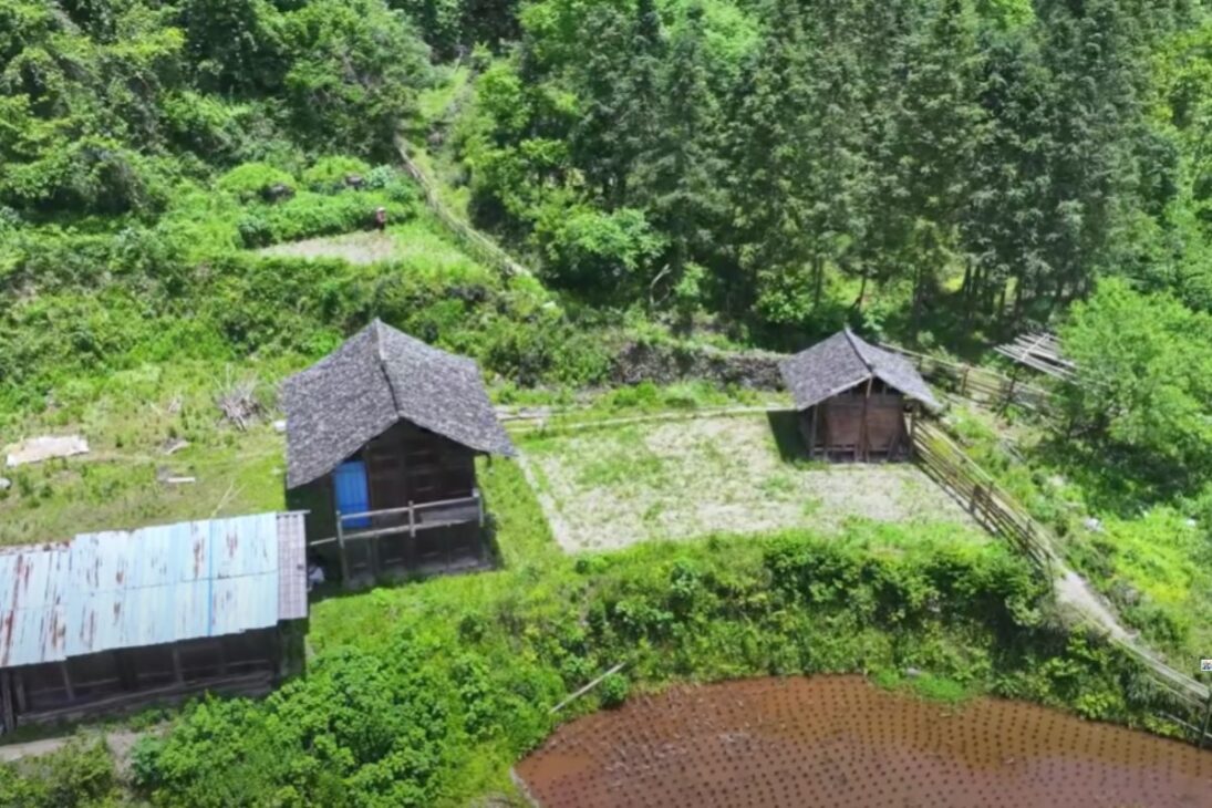 Família isolada há quatro gerações vive sozinha em floresta de Guizhou e sobrevive apenas com o que planta em meio às montanhas