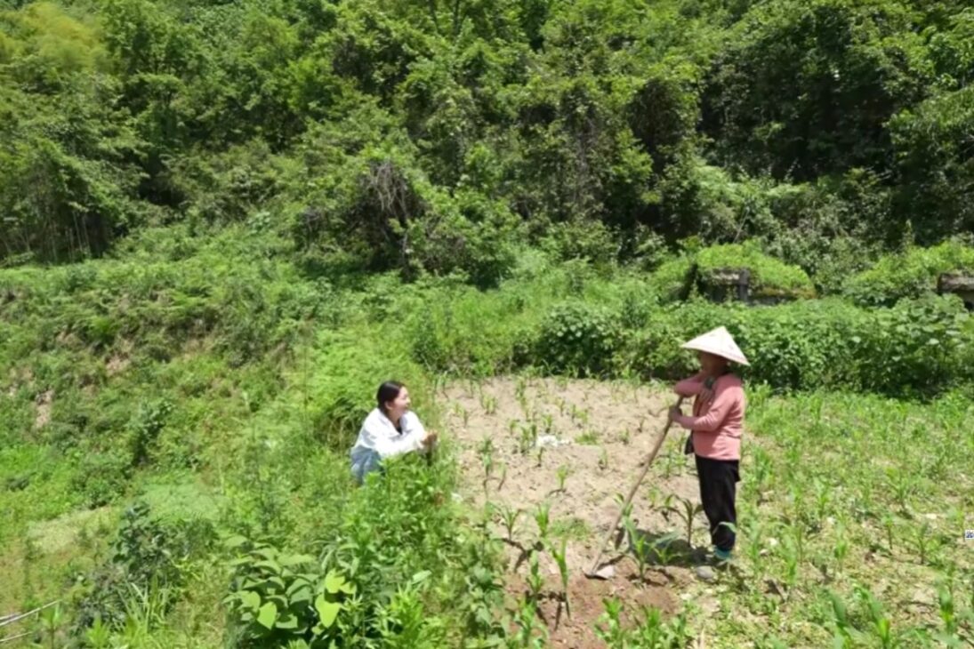 Família isolada há quatro gerações vive sozinha em floresta de Guizhou e sobrevive apenas com o que planta em meio às montanhas