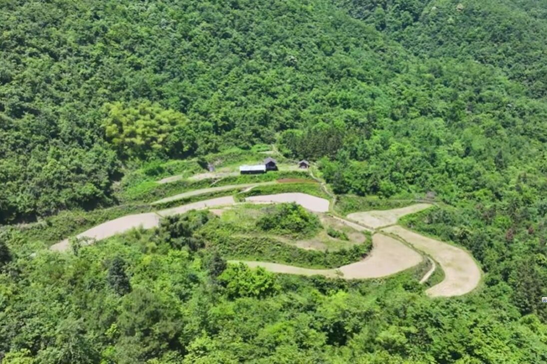 Família isolada há quatro gerações vive sozinha em floresta de Guizhou e sobrevive apenas com o que planta em meio às montanhas