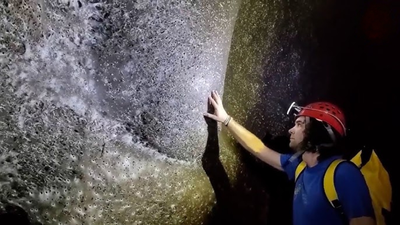 Teia gigante com milhares de aranhas em caverna subterrânea na Europa.