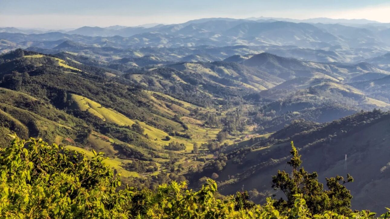 Área de Floresta Ombrófila Mista com araucárias em Campos do Jordão destaca o ecoturismo na cidade mais alta do Brasil.” (Imagem: Instituto Florestal de São Paulo / licença CC-BY ou domínio público)