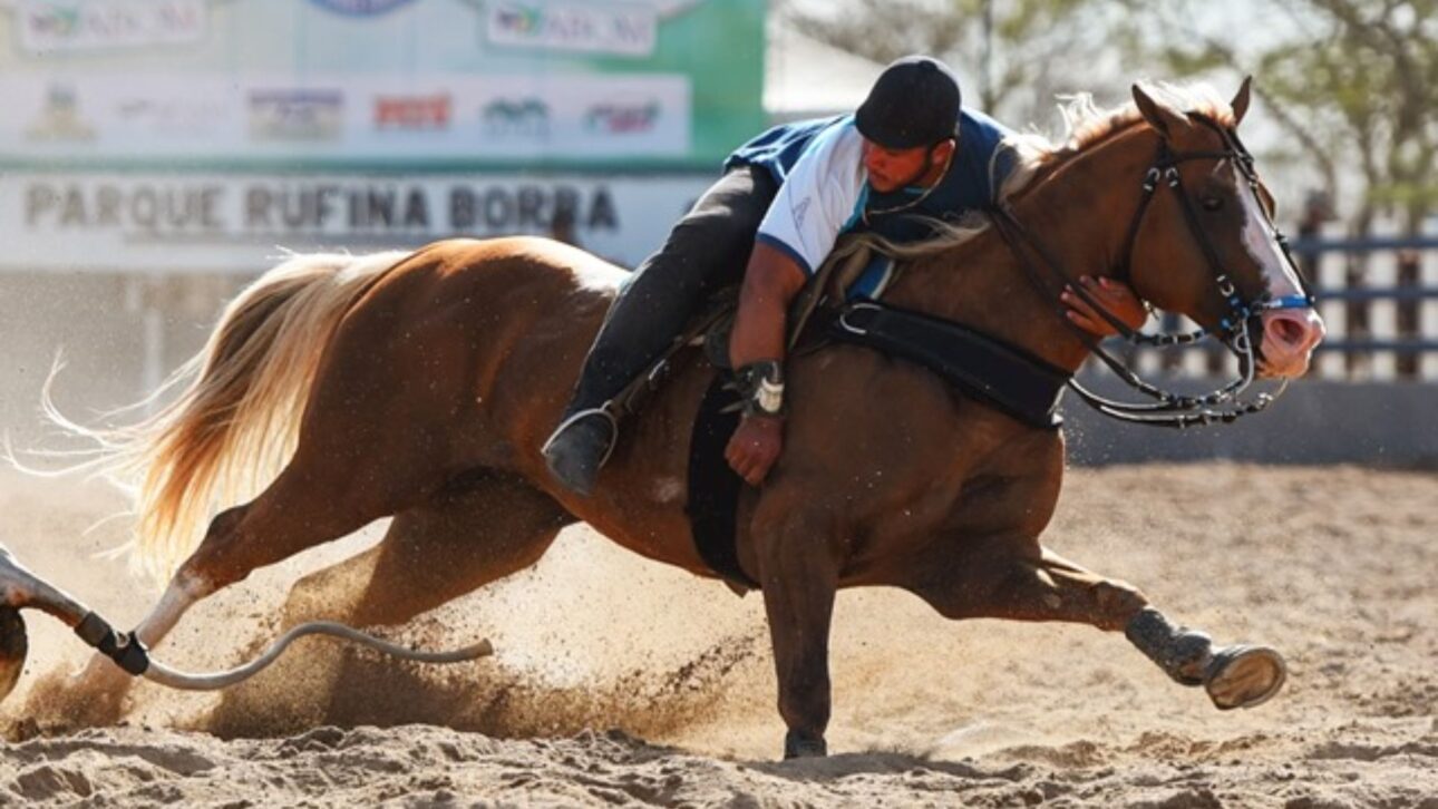 Rancho 263, de Henrique & Juliano, arremata NewPrince Diego HJG por R$ 5 milhões e assume papel de destaque no mercado de genética de elite da vaquejada.
