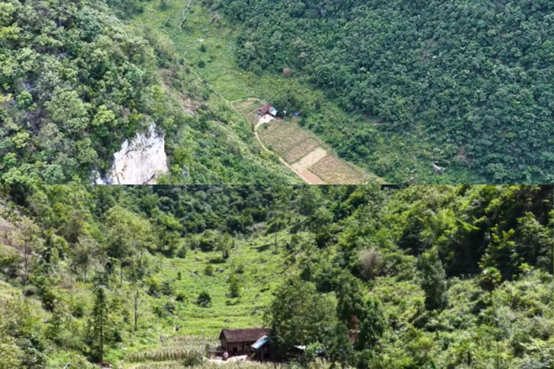 Nas montanhas de Guizhou, uma família vive sozinha há décadas: sem sinal de celular, criando ovelhas e cultivando tudo o que precisa