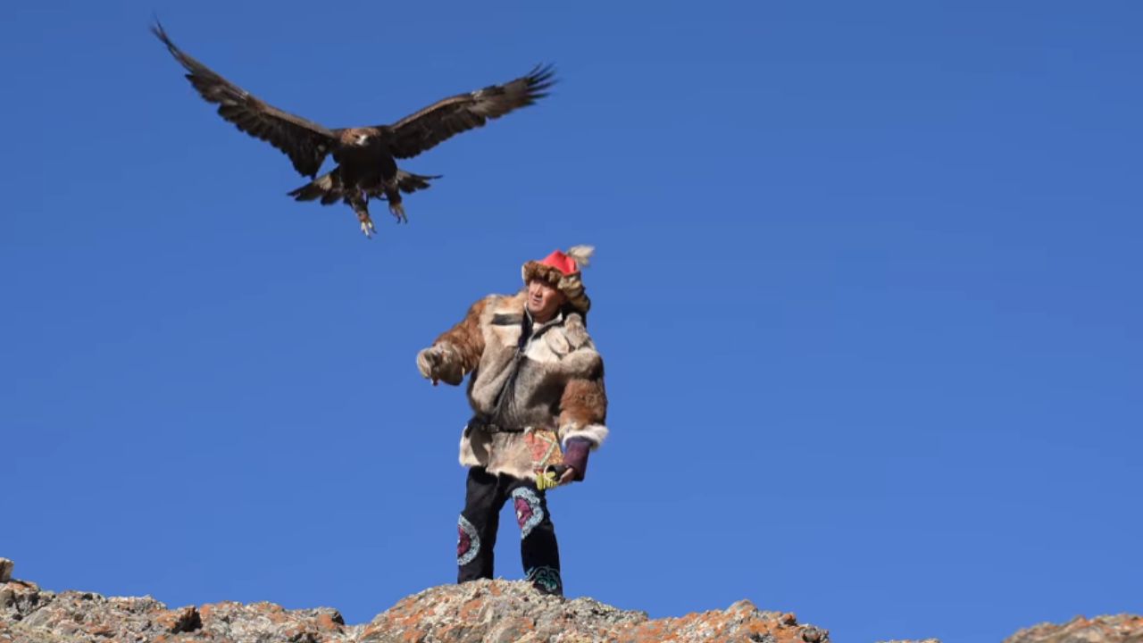 Imagem: Festival da Águia