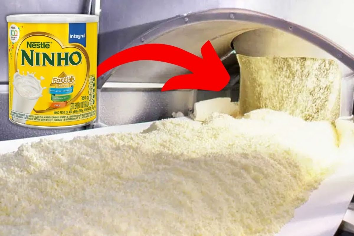 Descubra como ocorre a produção de leite nas fazendas e na fábrica de leite em pó, com tanques de refrigeração e processo de pasteurização de alta qualidade.