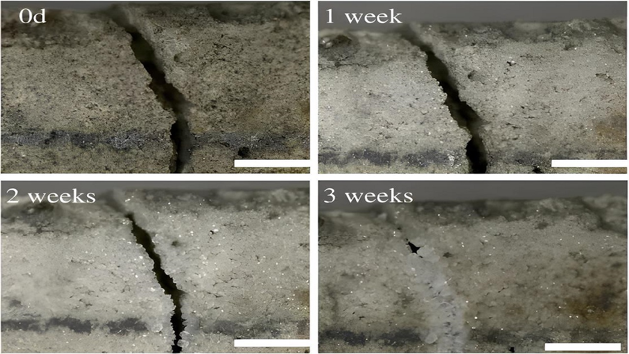 Nova opção de concreto capaz de se regenerar sozinho já começa a aposentar as manutenções em pontes e prédios