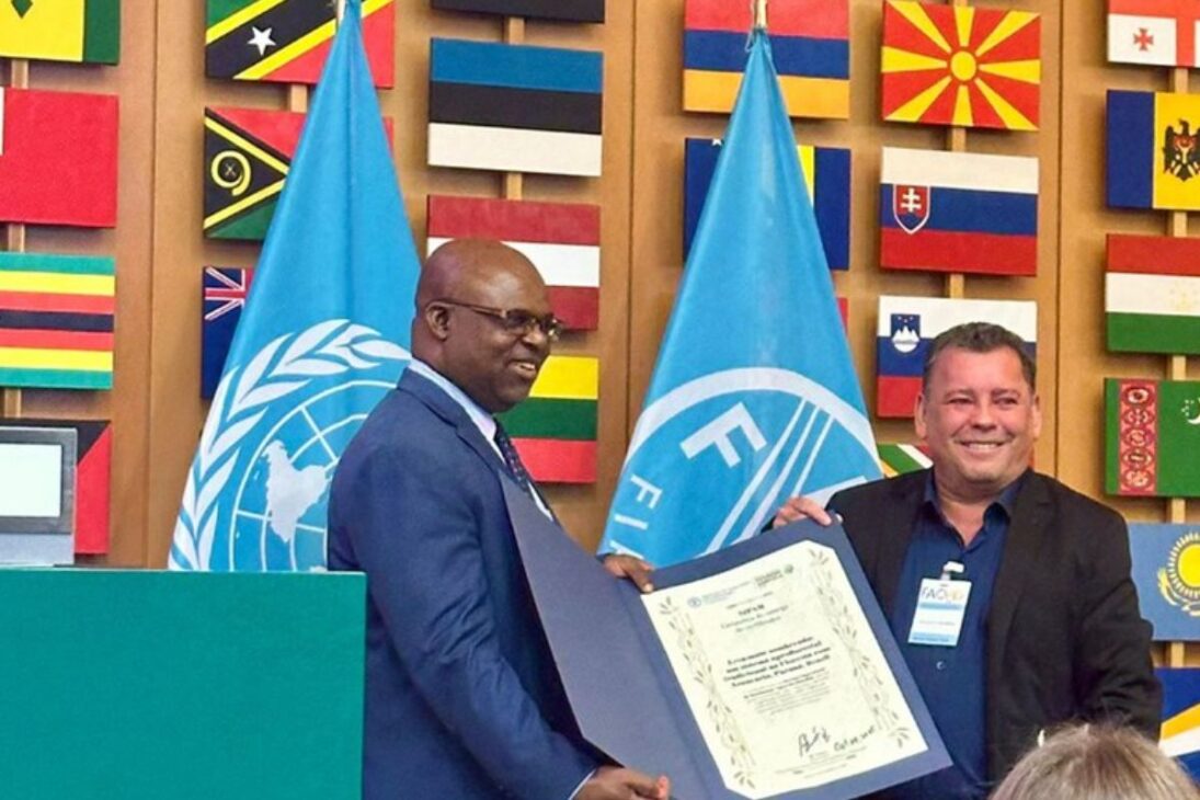 O título da FAO reforça a importância da erva-mate sombreada para a agricultura familiar sustentável no sul do Brasil, onde milhares de famílias vivem do cultivo aliado à preservação da floresta