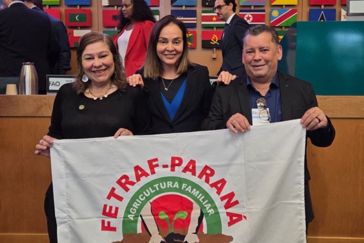 A erva-mate sombreada acaba de conquistar um dos maiores reconhecimentos internacionais concedidos pela Organização das Nações Unidas para a Alimentação e a Agricultura (FAO)