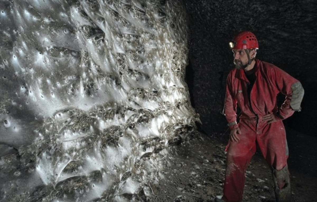Teia gigante de 106 m² com 111 mil aranhas é descoberta em caverna europeia, revelando comportamento colonial inédito entre duas espécies.
