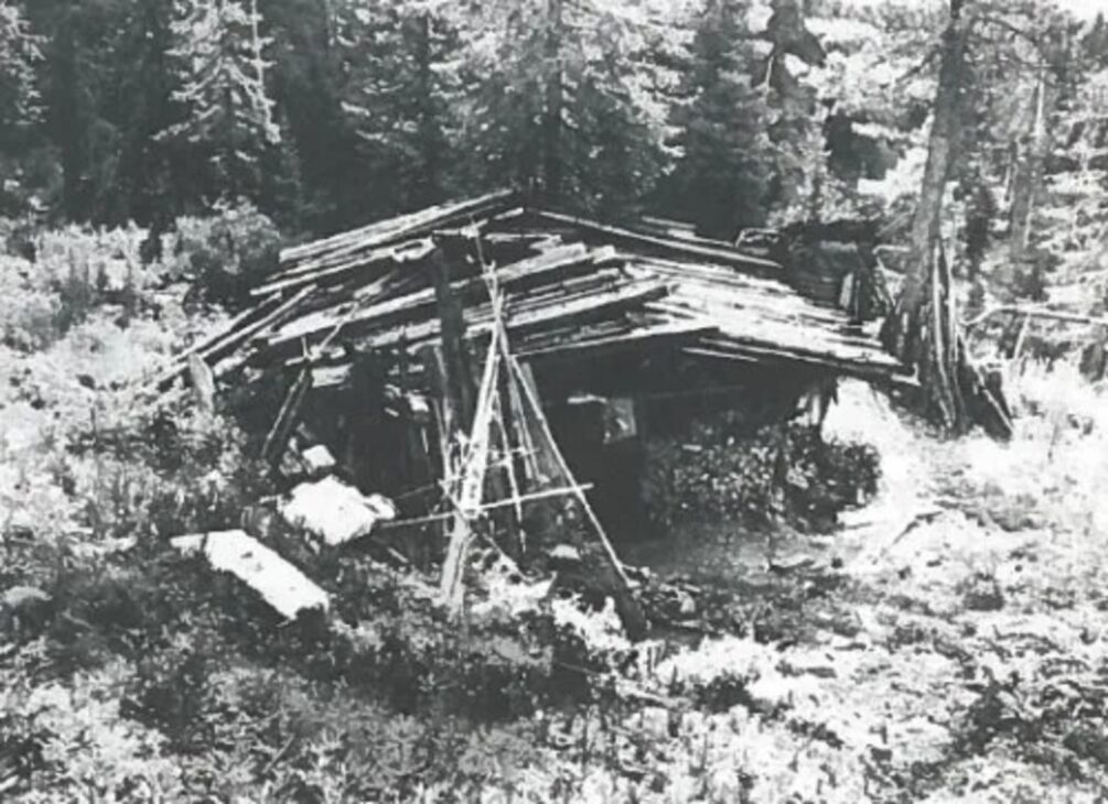 Floresta, Sibéria, Família