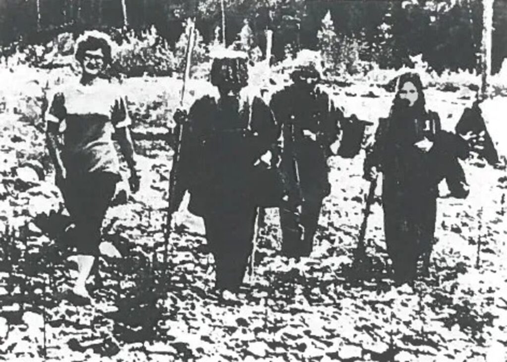 Floresta, Sibéria, Família