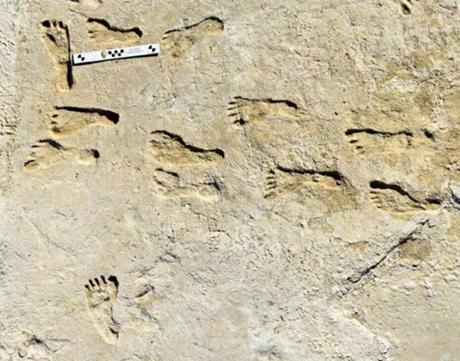 Study Confirms Human Tracks in White Sands as Being Up to 22,400 Years Old, Using Ancient Sediment and Reinforcing the Debate on Early Occupation of the Americas.