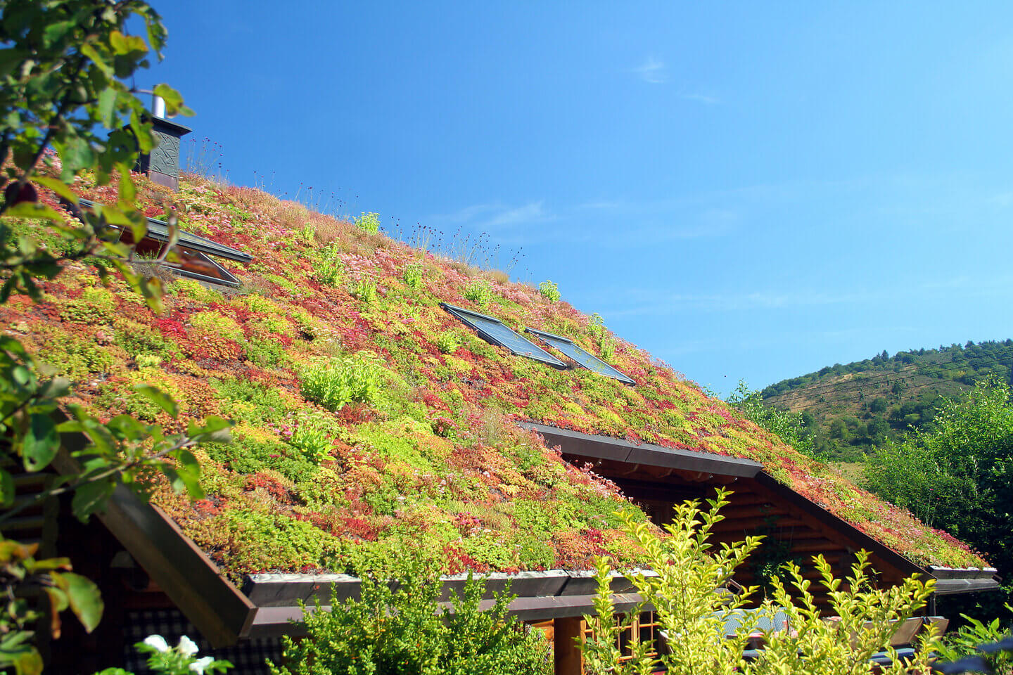 A Alemanha instalou mais de 100 milhões de m² de telhados verdes, esfriou cidades inteiras, criou corredores ecológicos urbanos em escala nacional e agora lajes servem como infraestrutura climática