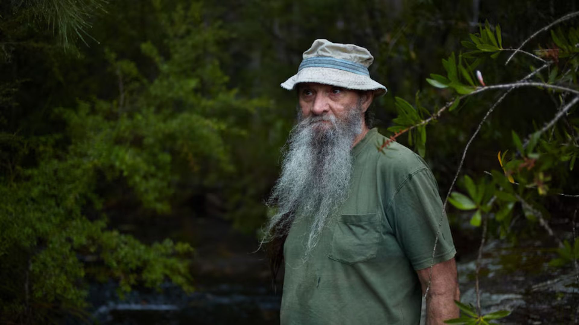 Homem viveu isolado por anos em floresta da Austrália, sobreviveu no mato e reapareceu para virar doutor e professor universitário.