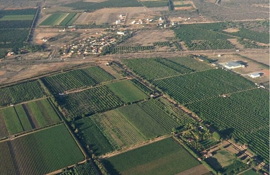 Área de fruticultura irrigada de Petrolina