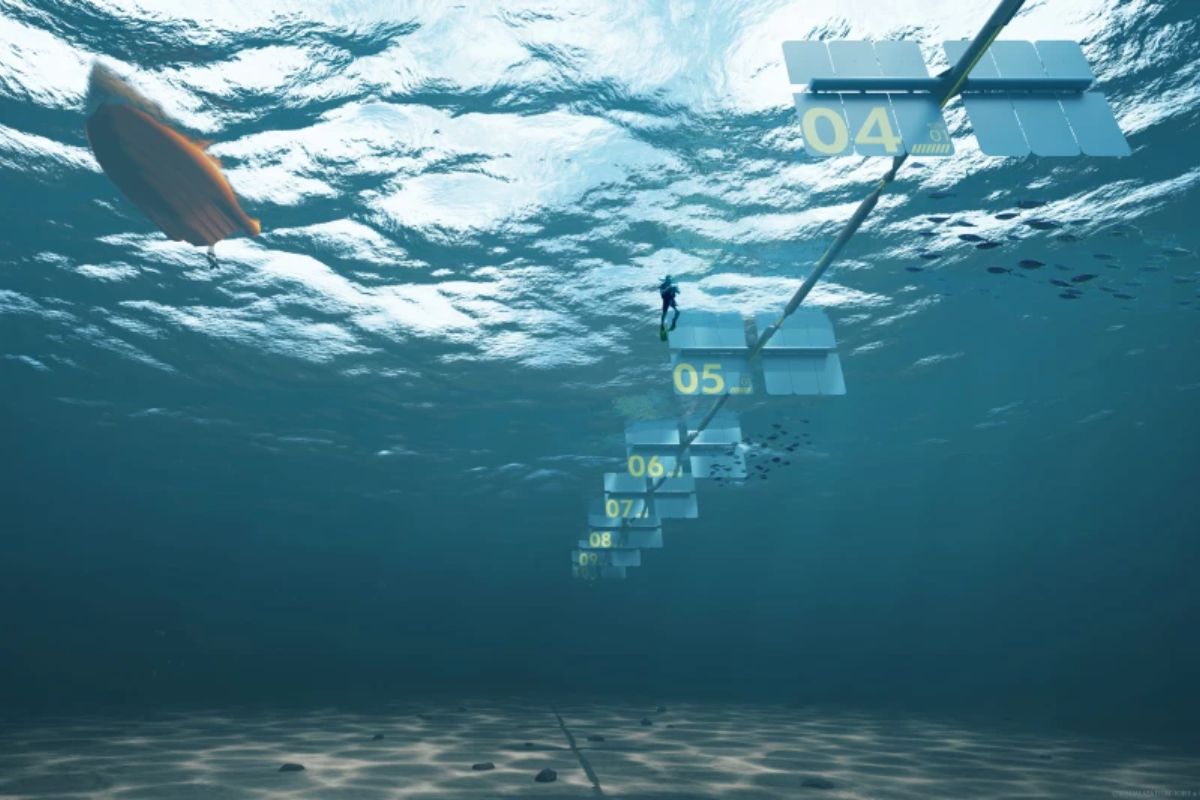 Barbados aposta em ondas para gerar energia limpa e dessalinização em projeto de 50 MW com a dinamarquesa Wavepiston, rumo ao zero carbono e liderança caribenha (1)