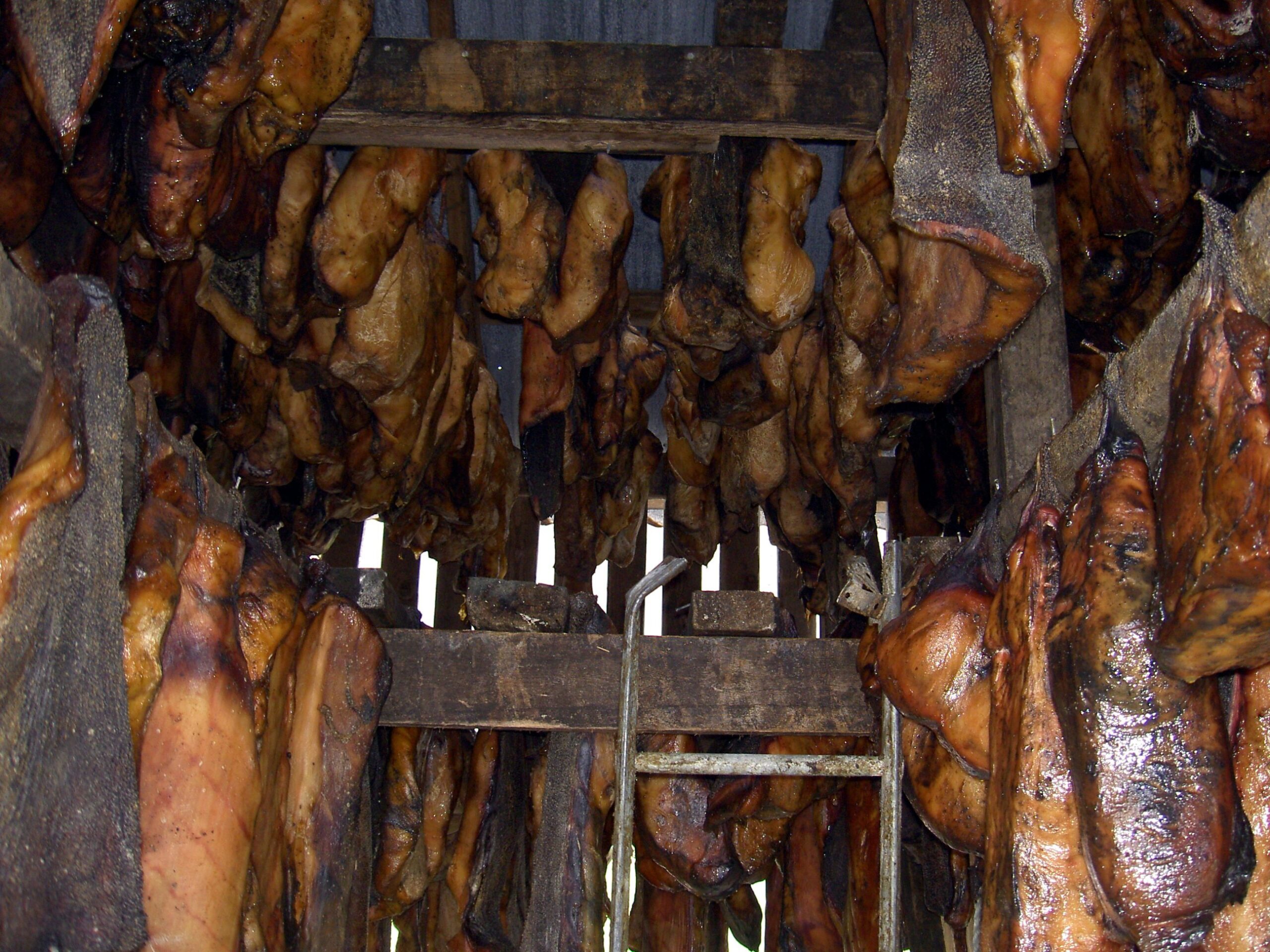 Islândia enterra tubarão por 6 meses sob pedras para criar hákarl, prato nacional que apodrece propositalmente: carne tóxica de tubarão da Groenlândia é fermentada 12 semanas no solo, pendurada 5 meses ao vento gelado e libera cheiro de amônia tão forte que turistas vomitam, mas tradição viking de 1.000 anos salvou islandeses da fome