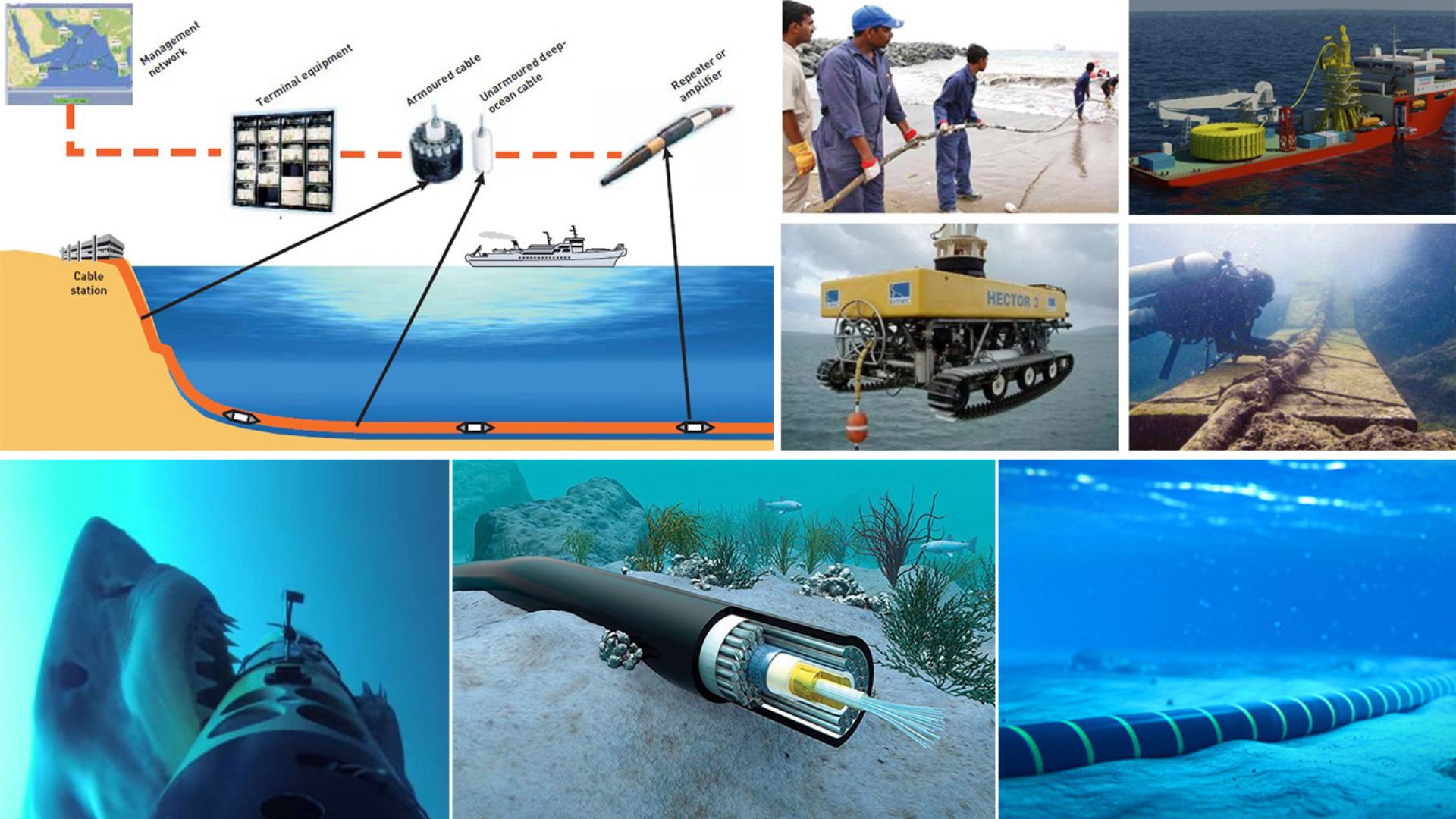 Cabos submarinos que sustentam a internet global podem detectar terremotos, tsunamis e até baleias usando fibra óptica e tecnologia DAS.
