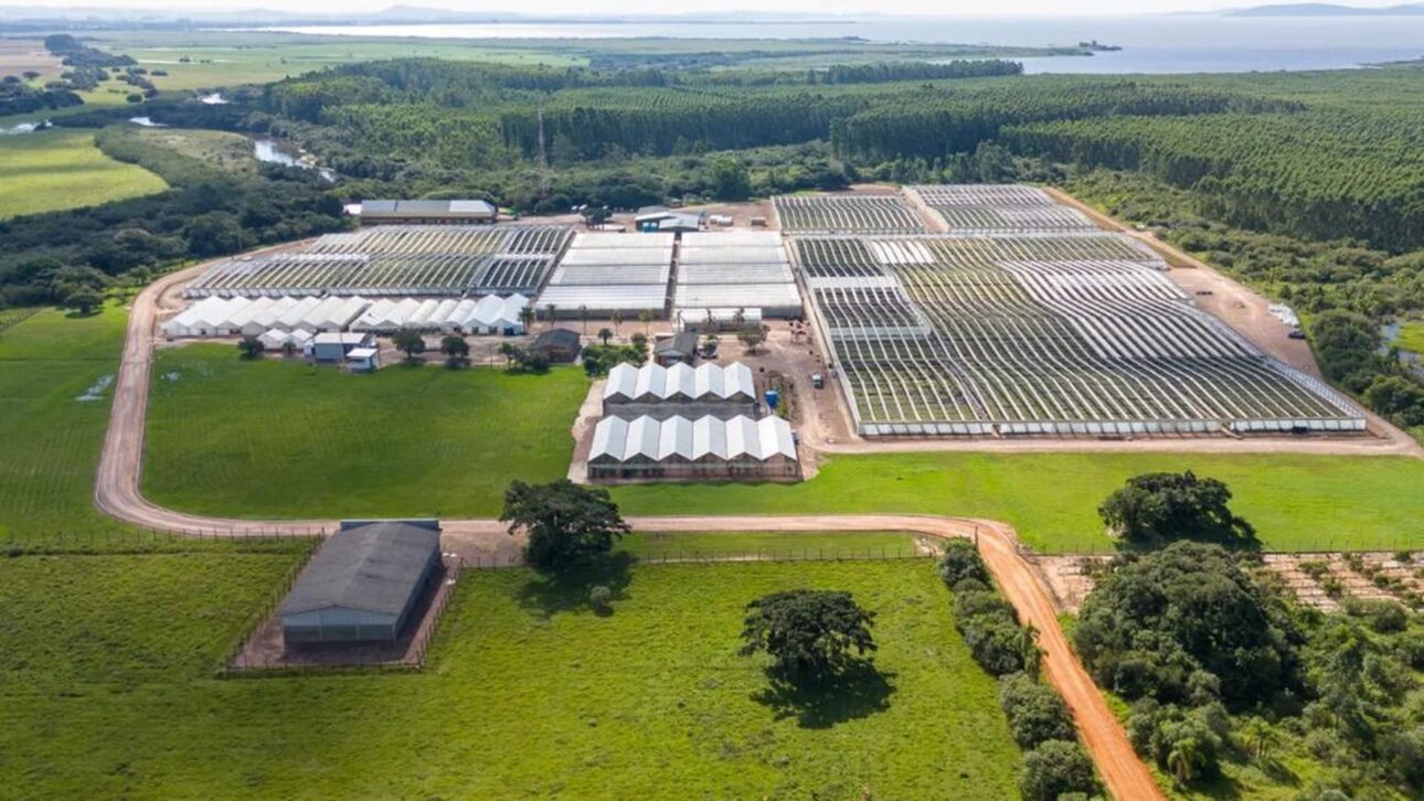CMPC anuncia megafábrica de celulose de R$ 27 bilhões no RS, com 12 mil empregos e novo terminal no Porto de Rio Grande.