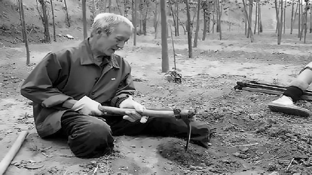 Idoso chinês sem as duas pernas plantou 17 mil árvores em 19 anos e transformou deserto em floresta 'para gerações futuras'