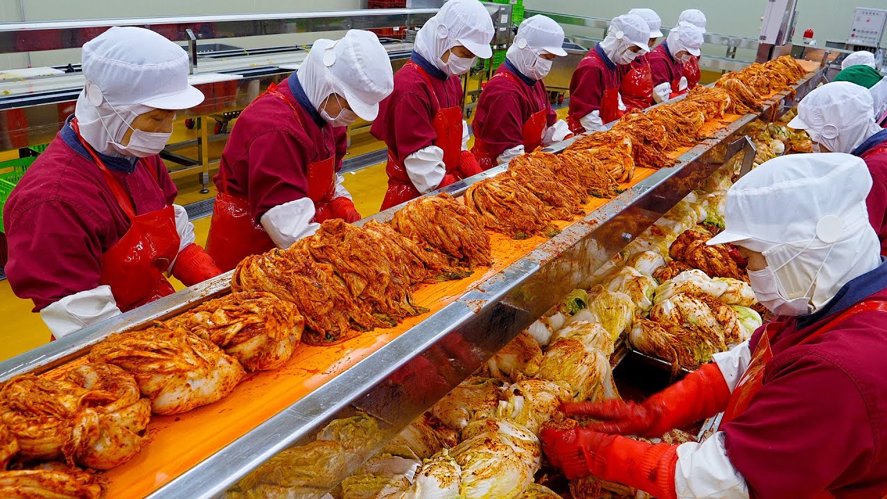 O que acontece dentro das maiores fábricas de kimchi da Coreia do Sul, responsáveis por cerca de 550 mil toneladas por ano na produção nacional, e como câmaras climatizadas, controle contínuo de pH e rastreabilidade digital transformam tradição milenar em engenharia alimentar de precisão