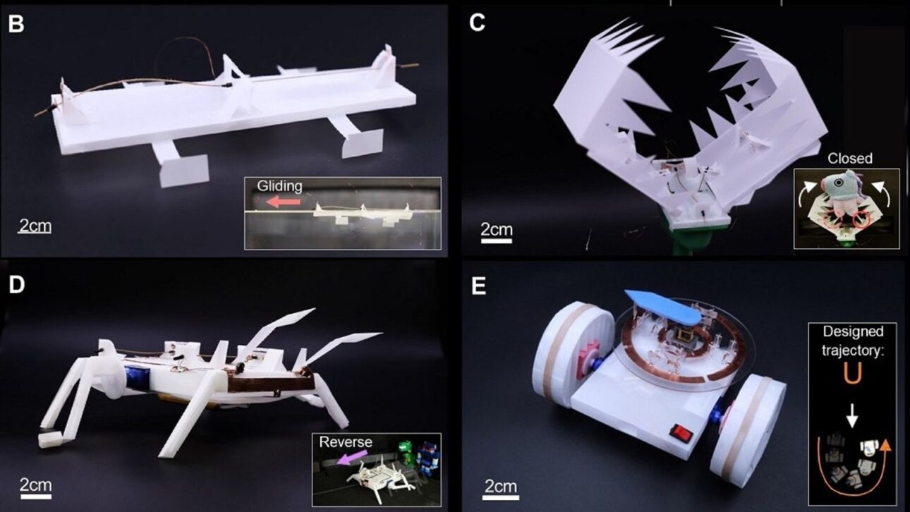 Robô, robô biomimético de origami