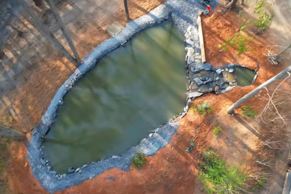 Após derrubar 15 pinheiros e cavar sem parar, família transforma ilha em piscina natural de 7 pés de profundidade, com cachoeira, filtro biológico, paredes internas, pedras gigantes (4)