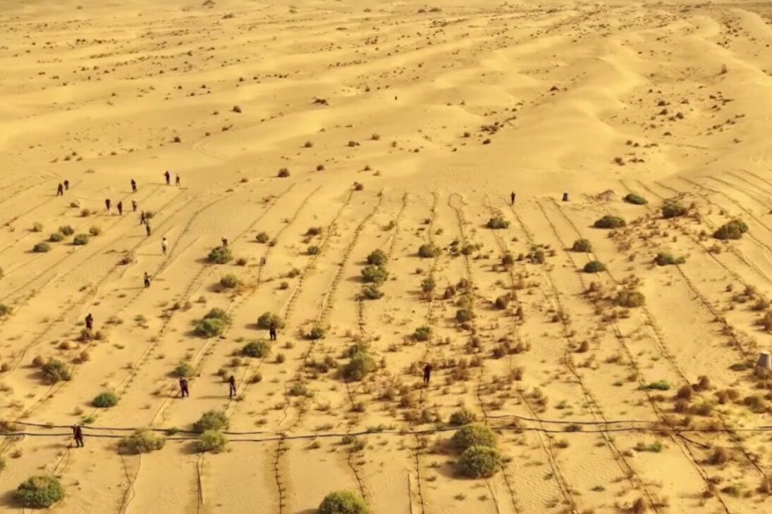 Vale desértico recupera água da chuva, regenera solo e reativa ecossistema em área seca da Arábia Saudita.
